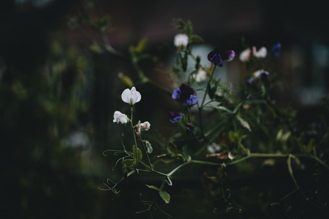 Cutting flower stems underwater