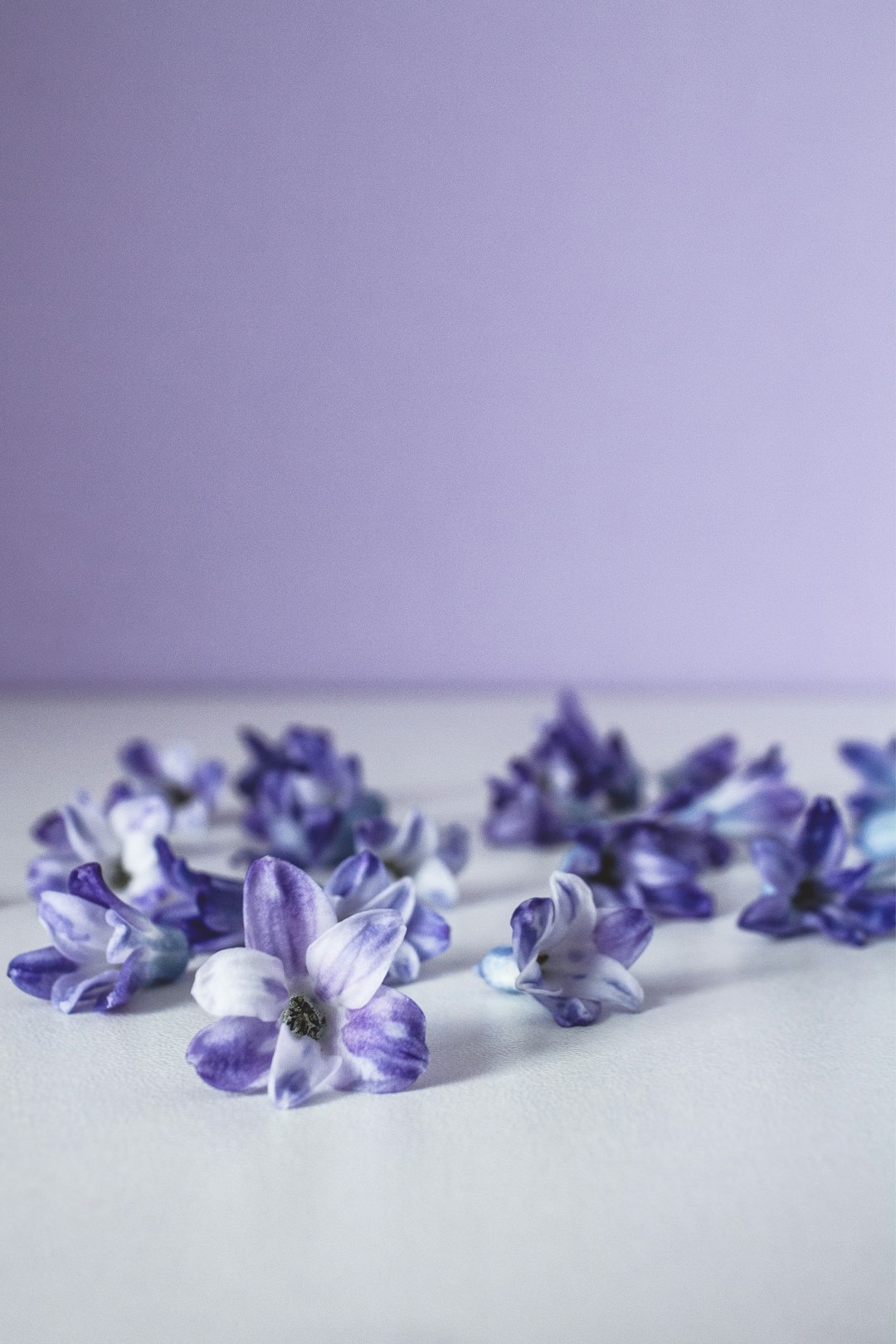 Flower arrangement