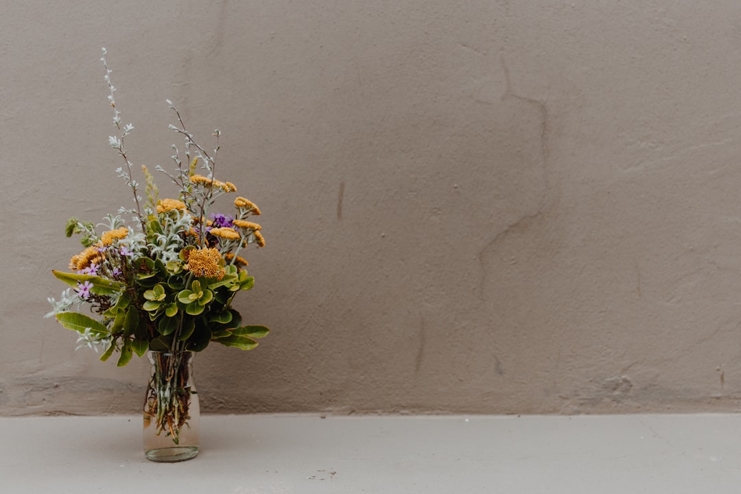 Organic flower farm